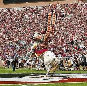 Meet your Posher, Jayne